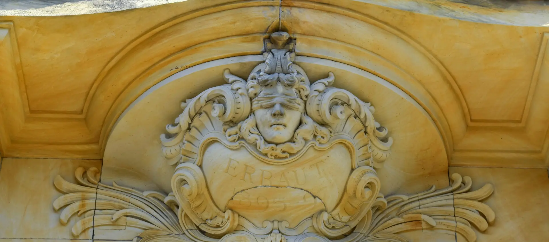 Penguin in a lawyers costume