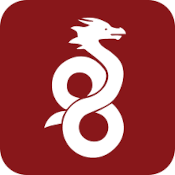 Wireguard Logo